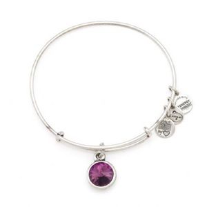 Alex and Ani Amethyst Birthstone Bangle - Silver